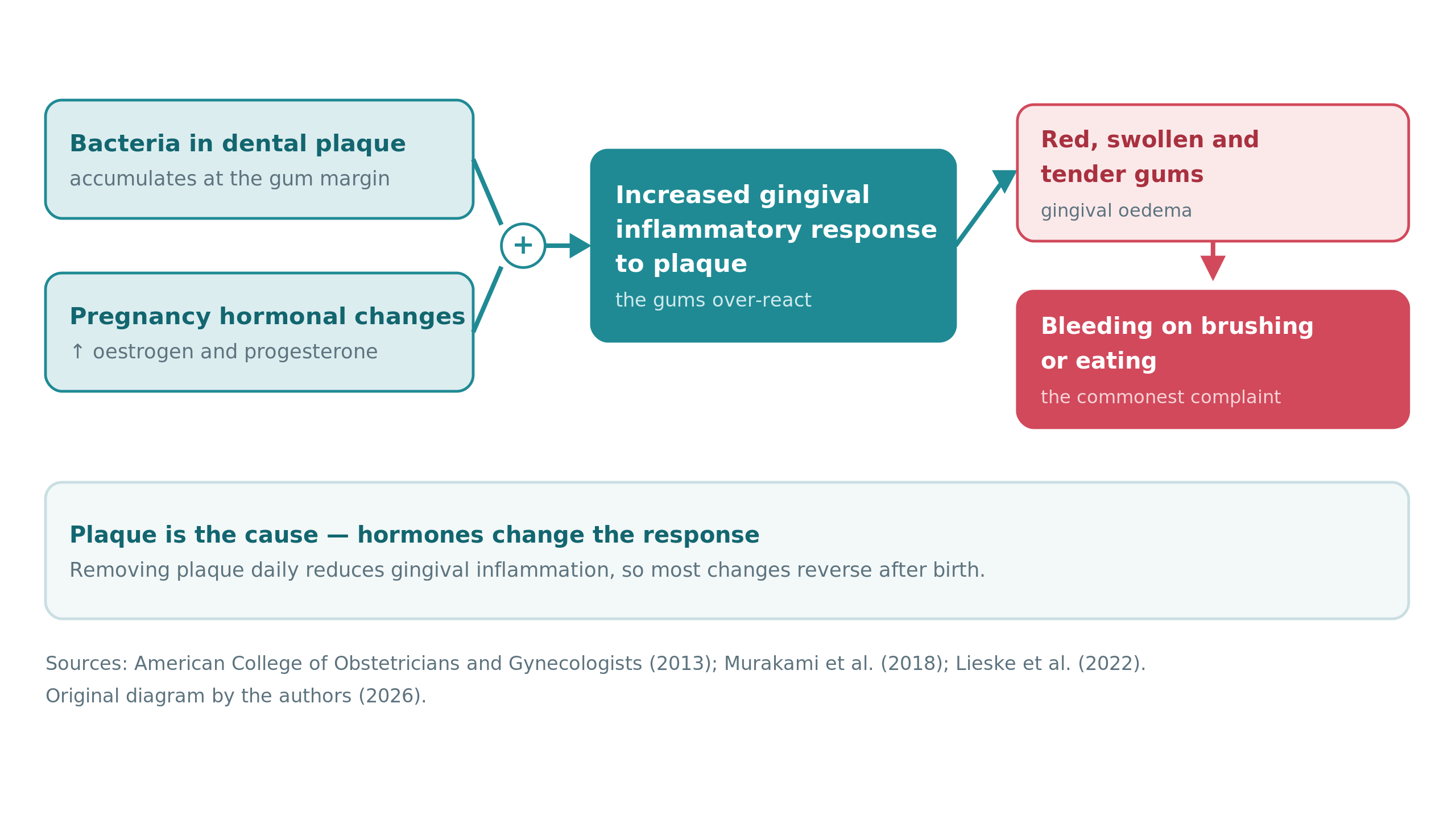 fig3_bleeding_pathway.png