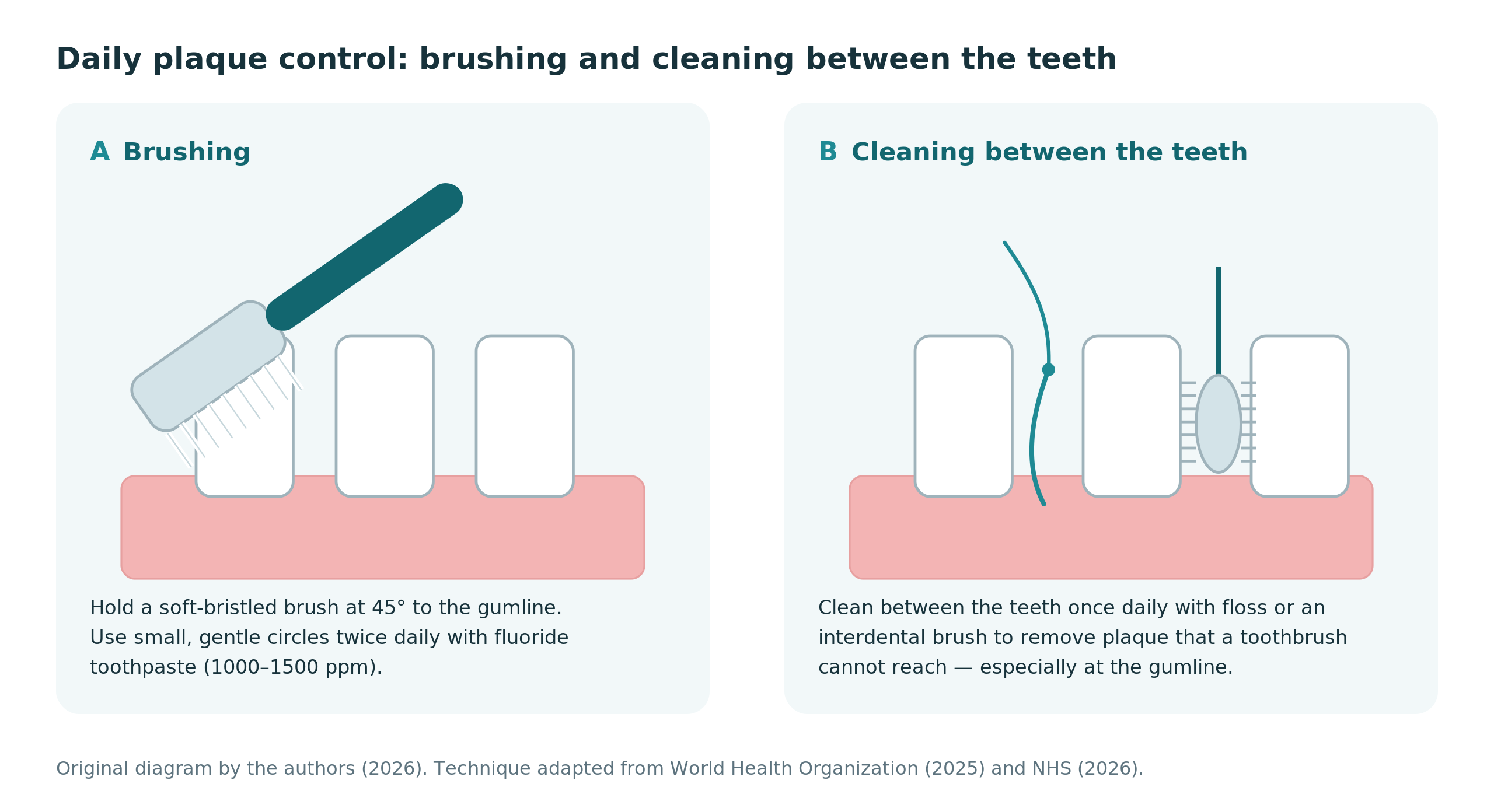 fig5_oral_hygiene.png